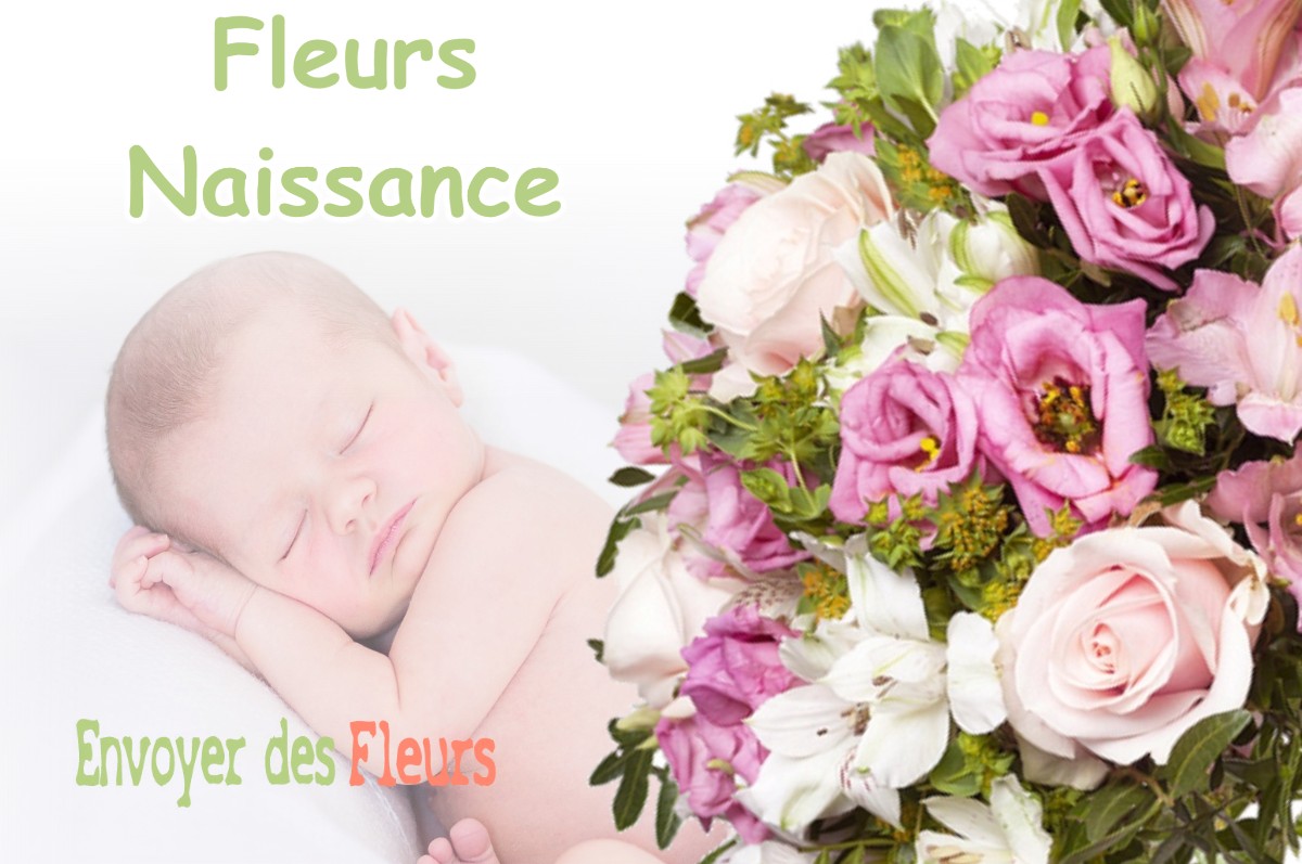 lIVRAISON FLEURS NAISSANCE à FONTVIEILLE