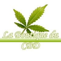 LA BOUTIQUE DU CBD FONTVIEILLE 